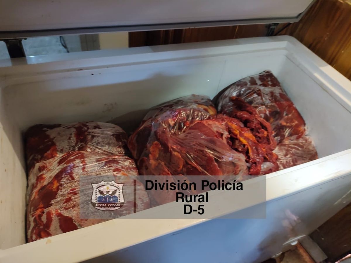 Llevaba 70 kilos de carne para vender en el baúl de un auto: descubren 430 kg más