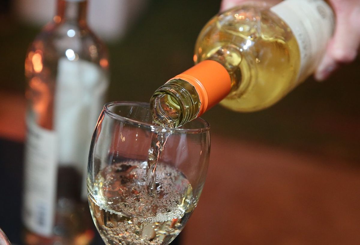 En el Día del Vino, la COVIAR busca frenar la ley de Alcohol Cero al Volante