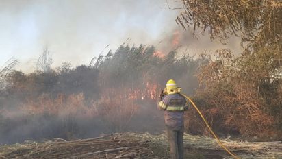 Incendio de pastizales. Foto: Bomberos Voluntarios de Pocito.