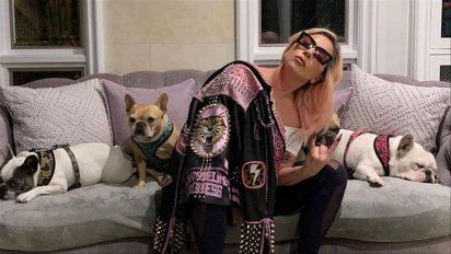 Lady Gaga todavía no paga la recompensa por sus perros